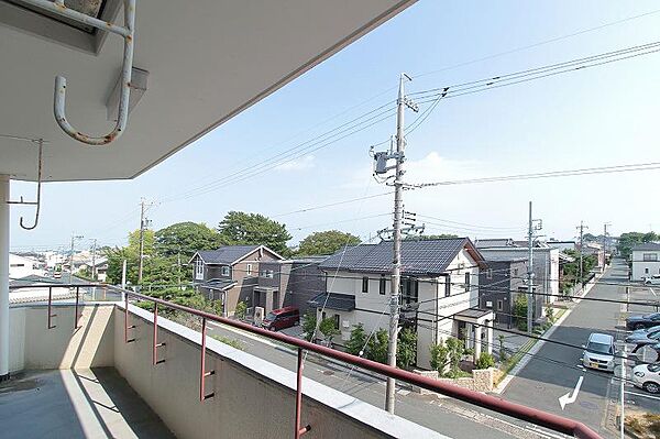 現地眺望。アンティークな手すりも見どころです。