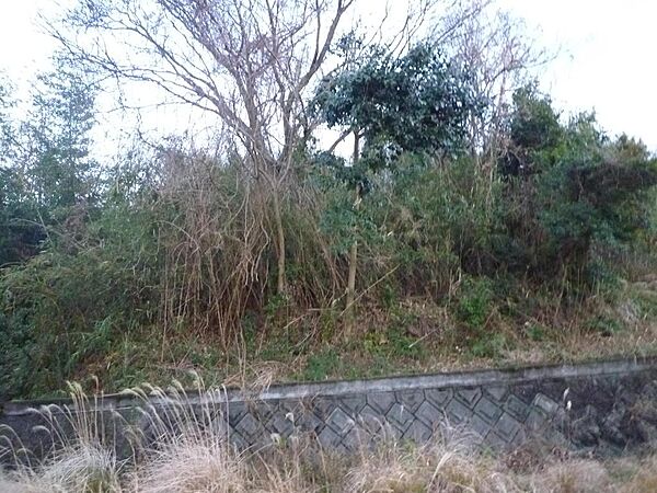 物件東側に間知ブロック擁壁あり