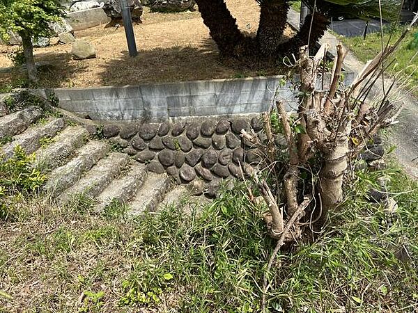 南西側階段