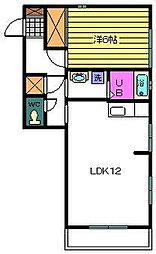 エムクラース 1LDKの間取図画像