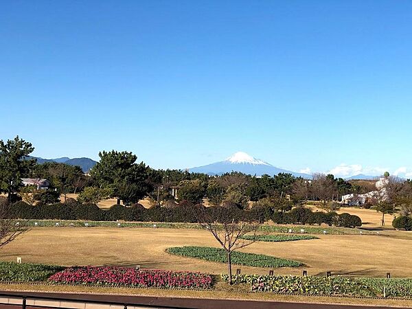 県立吉田公園