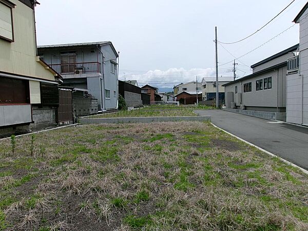 1号地の西側に立って東側（4号地側）を向いています。