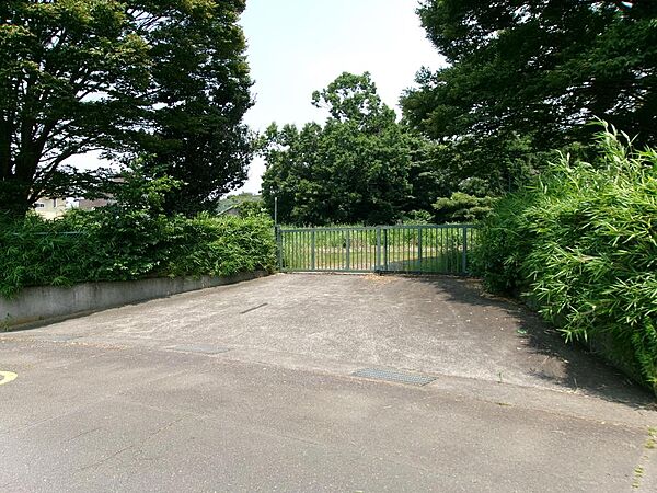 接道から土地南側の門の方を眺めています。