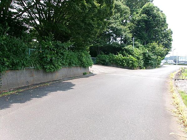南接道の西側に立って東側を向いています。