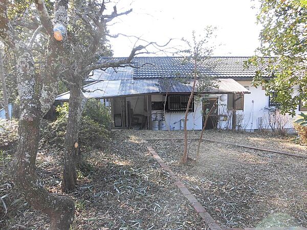 敷地内北東側に立って南側を向いています。この写真の左手側にフェンスがあります。