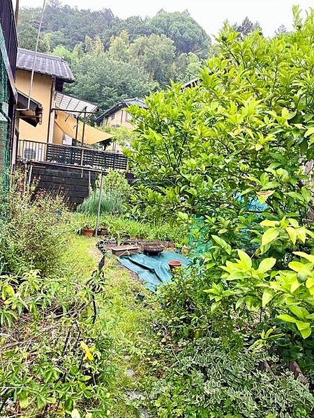 広いお庭は魅力です！