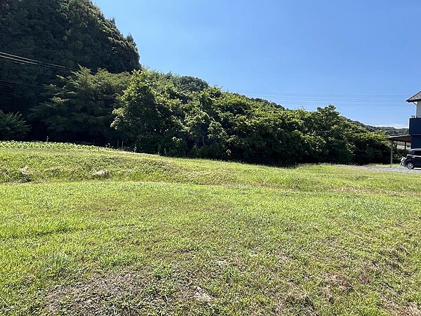 東側から撮影