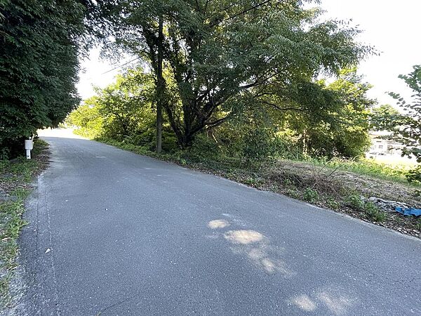 西側前面道路