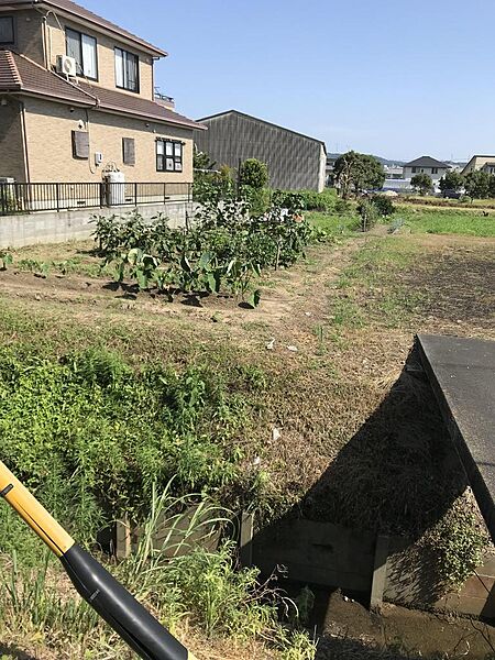 北側から撮影
