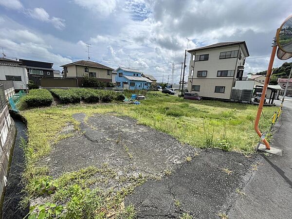 北側から撮影
