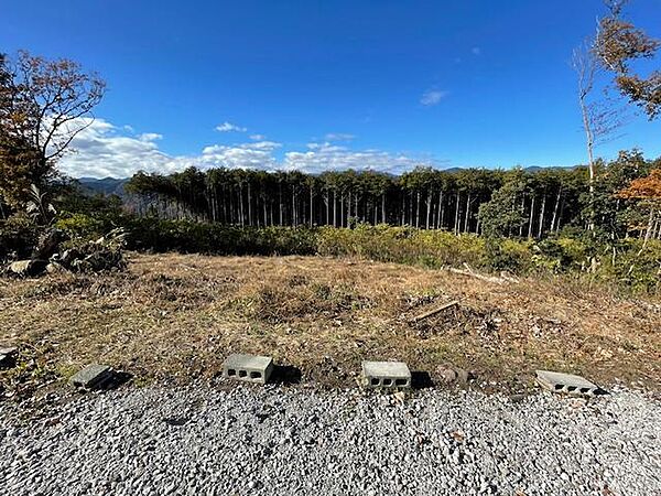 その他を拡大表示