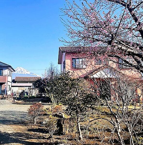お庭から富士山見えます