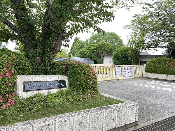 周辺を拡大表示