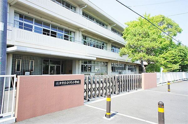小川小学校…150ｍ