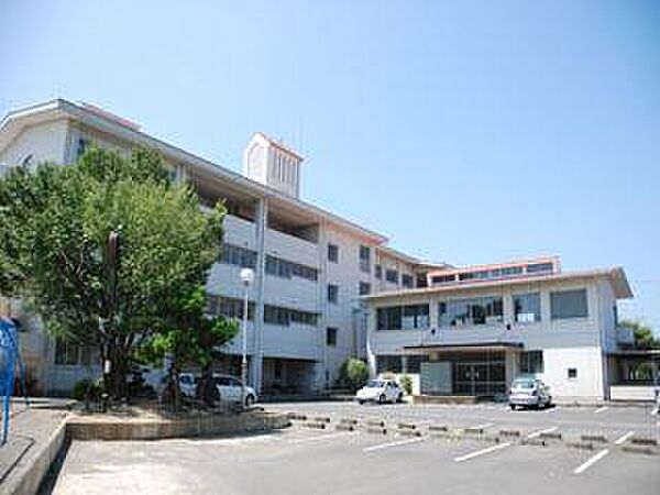 青島東小…約1100ｍ
