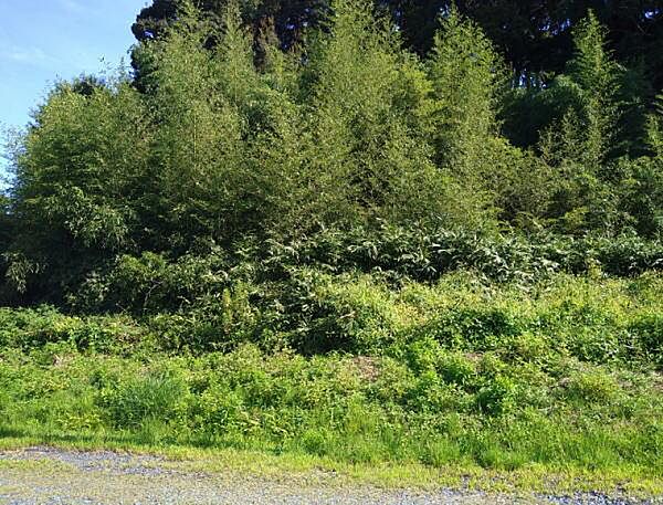 外観：322000571270