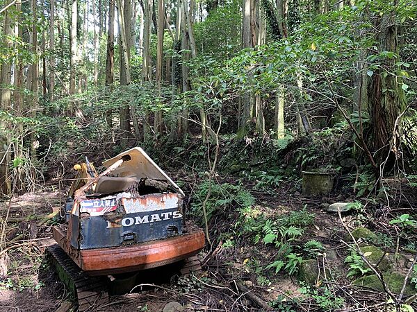 以前、山遊びに使ったユンボがいすわっています。残念ながら使えません。