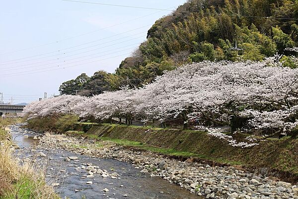 春は桜の名所となる千歳川桜並木まで徒歩9分