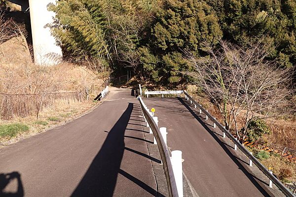 を拡大表示