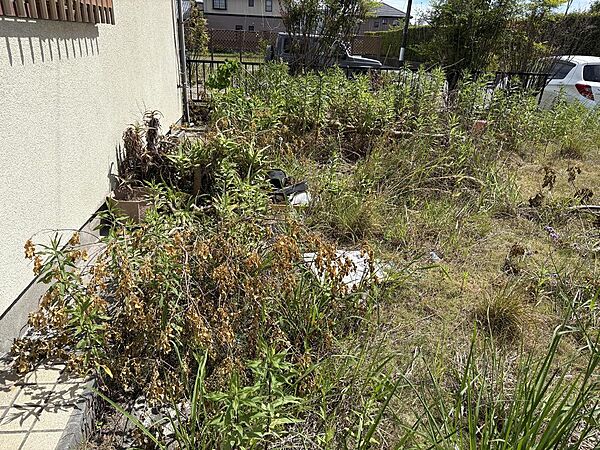 西面道路より敷地内の外観・駐車場予定地