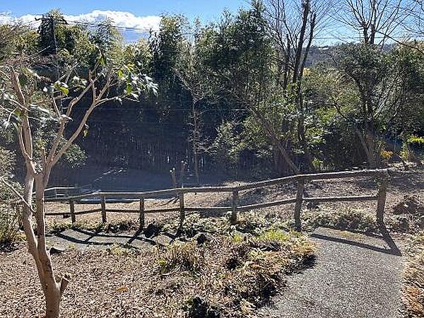 駐車場からの階段