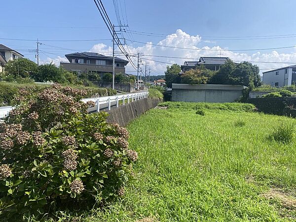 20年以上前に田んぼ、その後は水はこのように水は引いておりません。