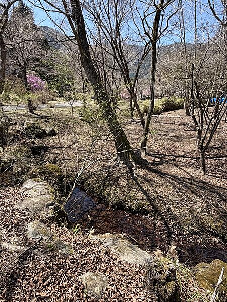 お土地の隣地（南側）には、湧水が流れています。