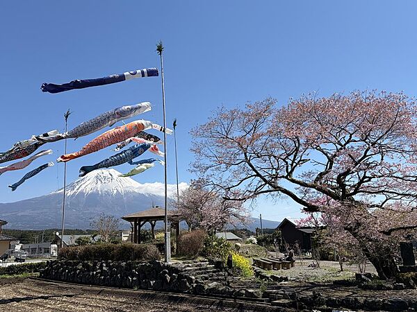 お土地近くの風景