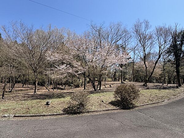 お土地から見える景色