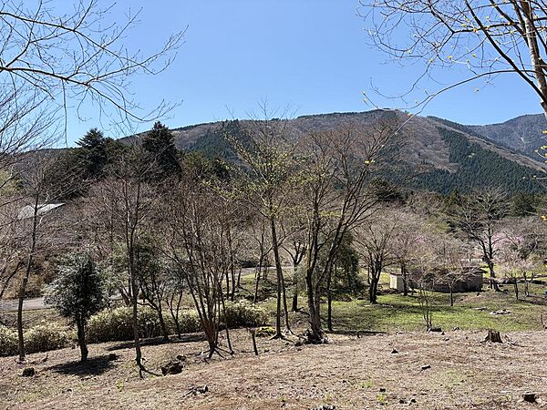 敷地から南側を撮影