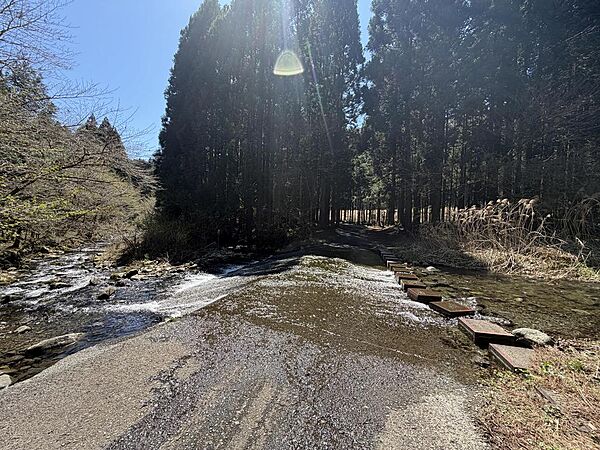別荘地手前の「猪之頭洗い越し」。豊富な湧き水が道路を横切っています。クレソンも茂り、とても美しい光景が見られます
