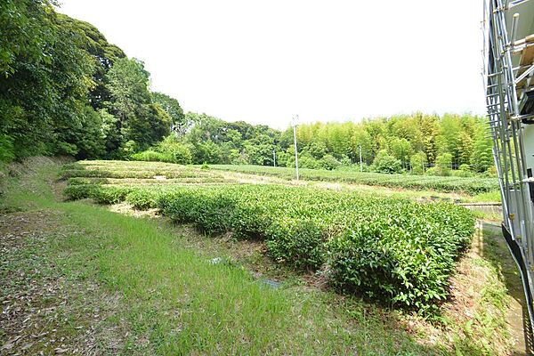 外観：322000627977