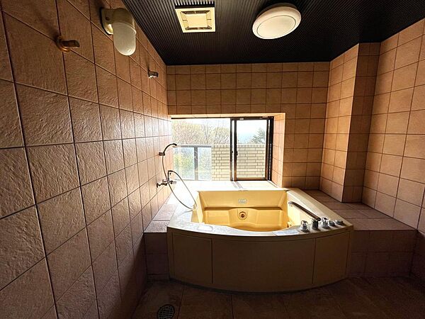 温泉ではありませんが、広々とした、景色を臨む浴室です。