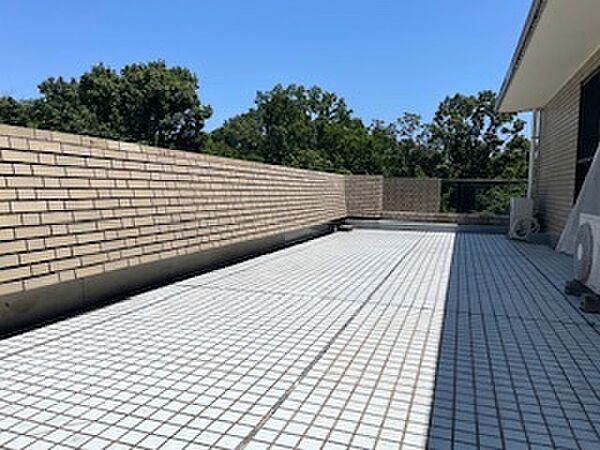東北側リーフバルコニー約50.31m2