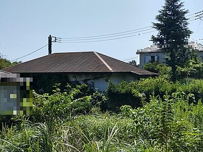 外観 外観