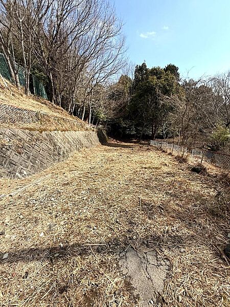 現地写真