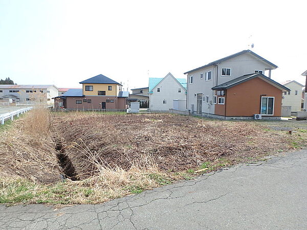 外観：305000002312