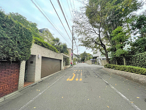 前面道路（南西側から）