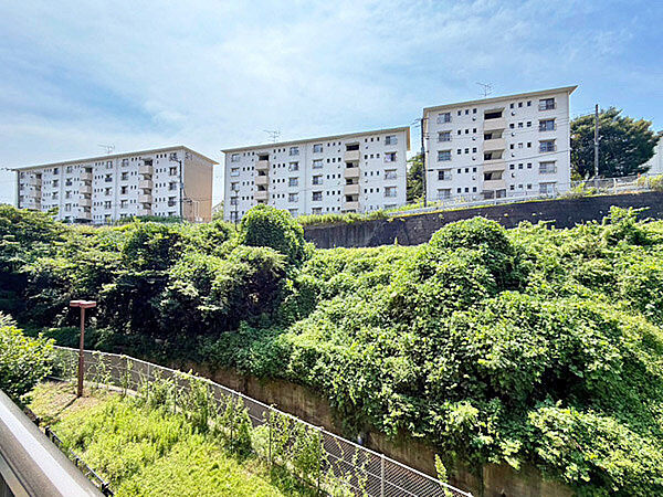 住戸からの眺望。