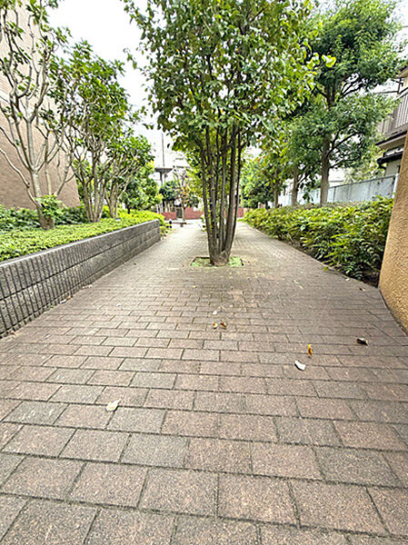 緑豊かな植栽が彩る敷地内アプローチ。手入れの行き届いた共用空間が、心地よい住環境を演出します。