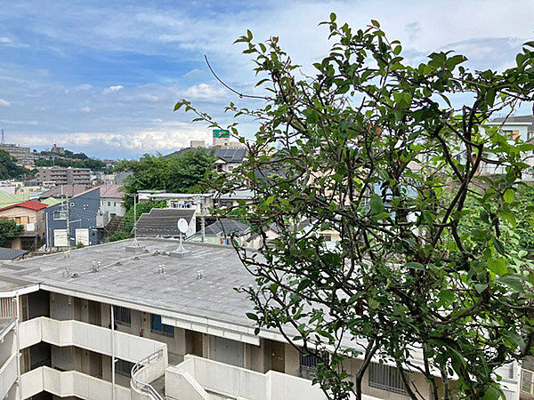 住戸からの眺望。目の前には大きな建物がないので、景色に開放感があります