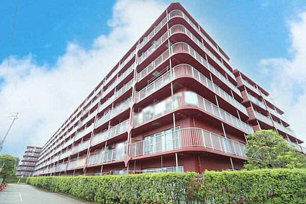 外観：314002382389