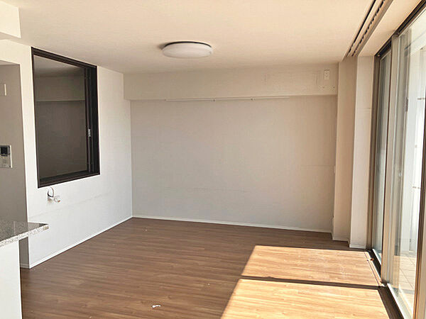 ハイサッシ採用の横型リビング