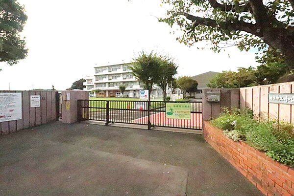 小山台小学校まで約240ｍ