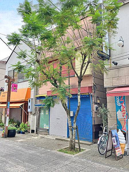谷津駅から南に1本入った通りの整形地