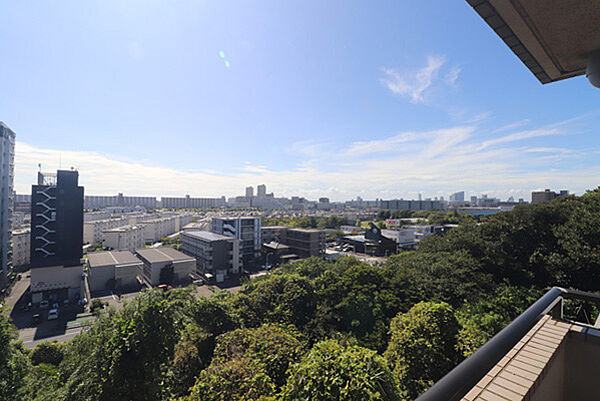 遮るものがないため、開放感があり緑豊かな眺望です
