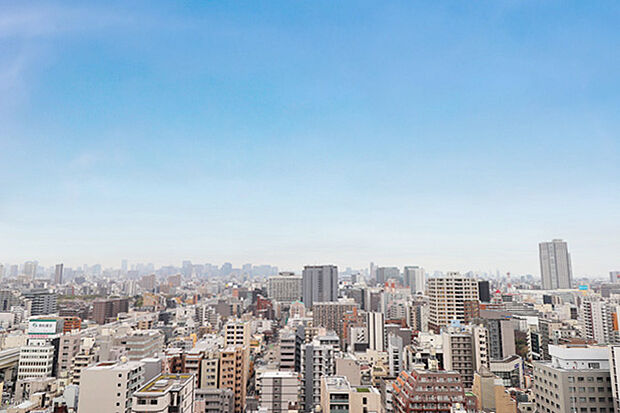 現地からの眺望（2024年4月）撮影。空気の澄んだ日には富士山が望めます
