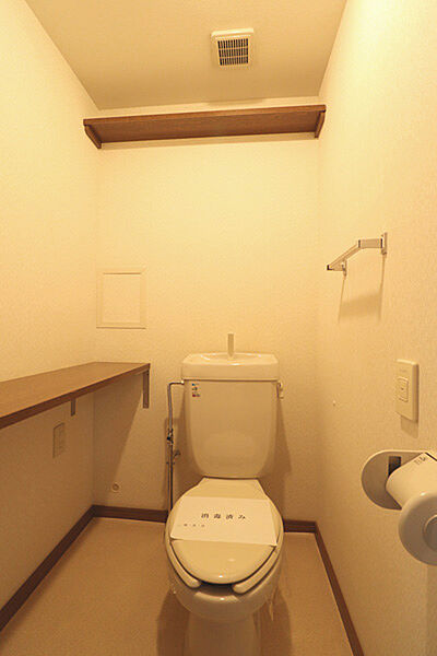 トイレ内には棚を設置しており、トイレットペーパーや掃除用品の収納に便利です。