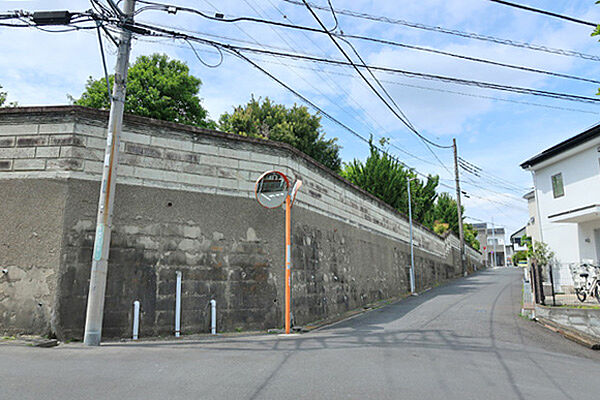 東側道路南から撮影東南角部