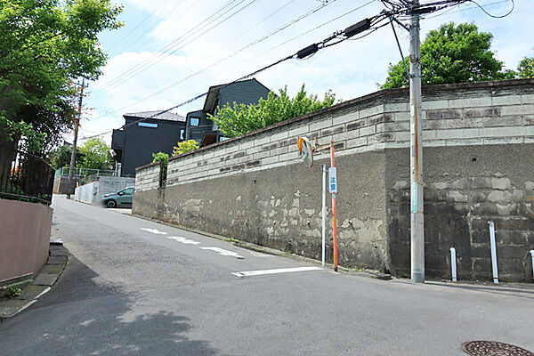 南側道路東から撮影東南角部